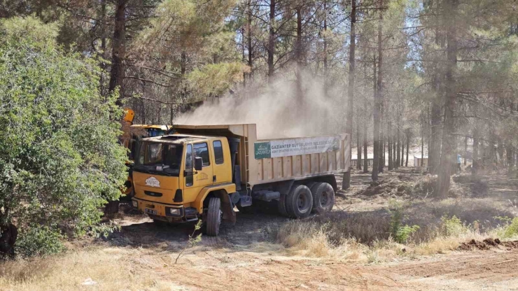Gaziantep Büyükşehir, Orman Yangını Riskine Karşı Tedbirlerini Artırdı