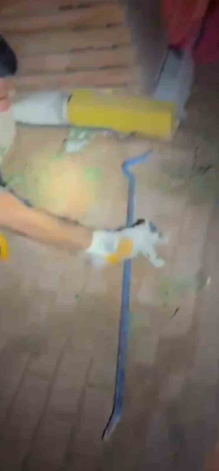 İtfaiyeden Gece Yarısı Kedi Kurtarma Operasyonu