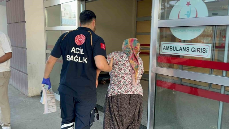Yılanın Isırdığı Kadın Hastaneye Kaldırıldı