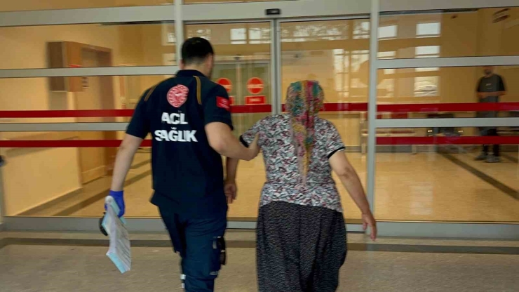 Yılanın Isırdığı Kadın Hastaneye Kaldırıldı