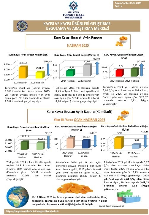 Kuru Kayısı İhracatı Yüzde 18 Geriledi