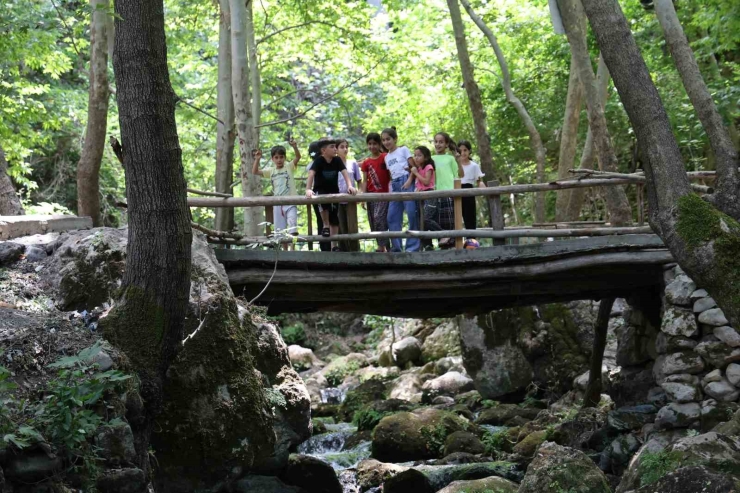 Diyarbakır’da Berrak Suyu Ve Yeşilliğiyle Göz Kamaştıran Köy Havadan Görüntülendi