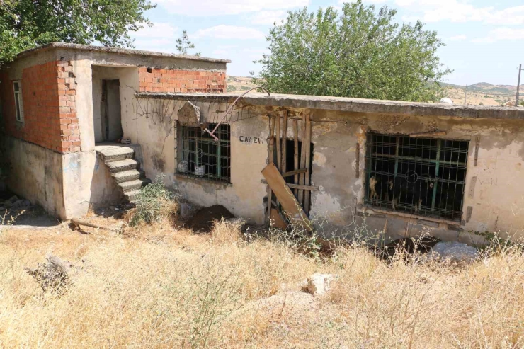 İha, Pkk’nın Kurulduğu Barakayı Görüntüledi
