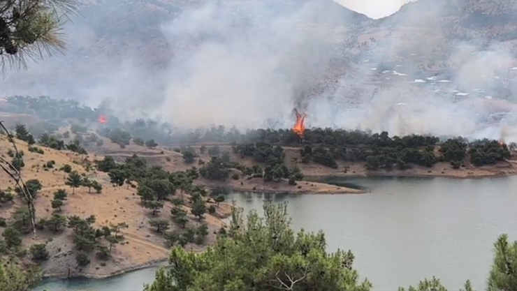 Adıyaman’da Ormanlık Alanda Yangın