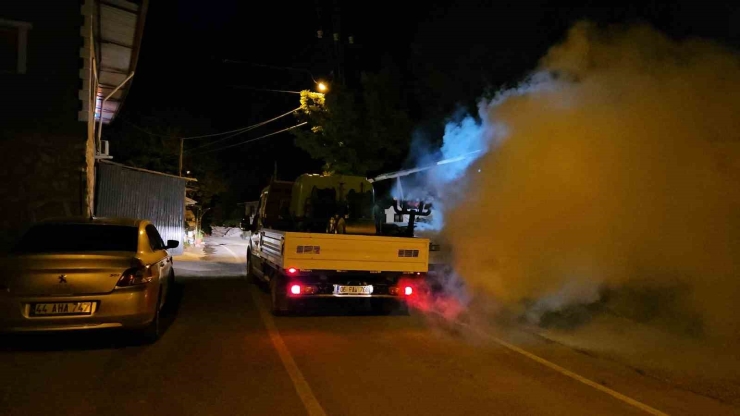 Darende’de Haşereyle Mücadele Sürüyor