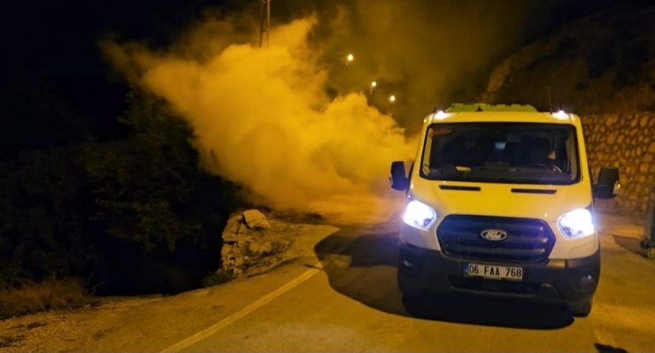 Darende’de Haşereyle Mücadele Sürüyor