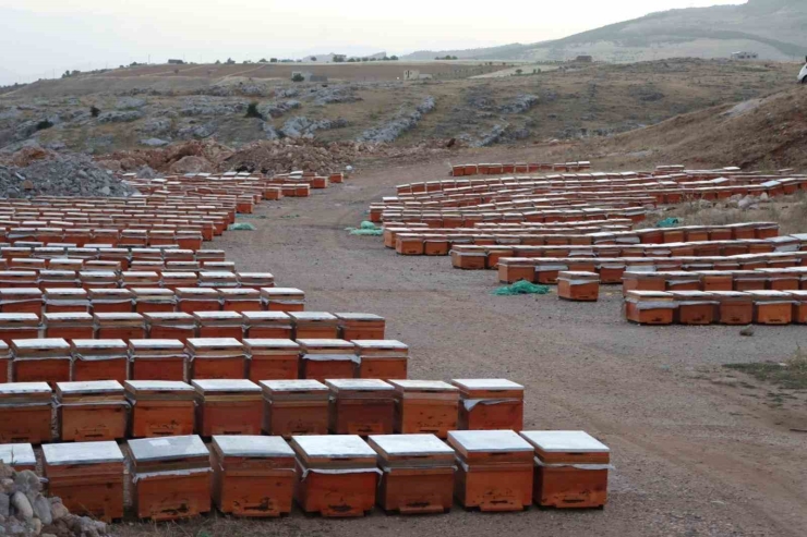 Adıyamanlı Arıcılar, 2025 Yılı Bal Fiyatlarını Açıkladı