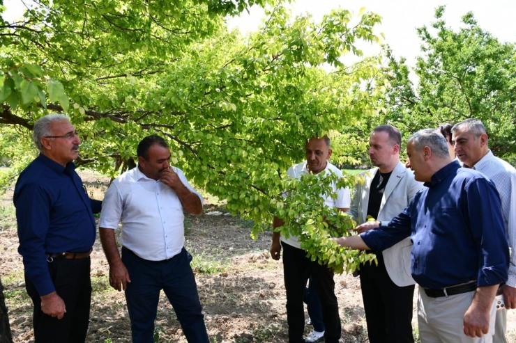 Karademir’den Kayısı İçin Acil Destek Çağrısı
