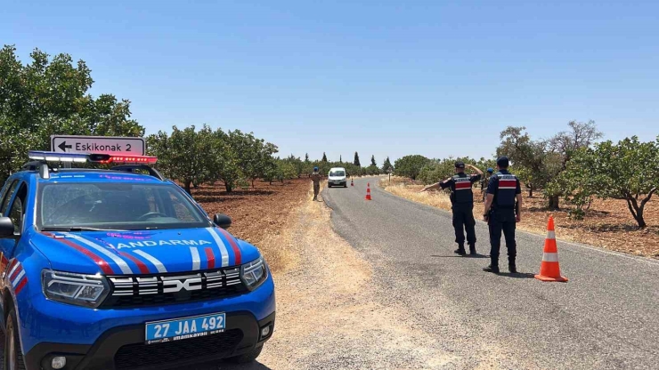 Gaziantep’te Jandarma Ekipleri ’yeşil Altın’ İçin Nöbette