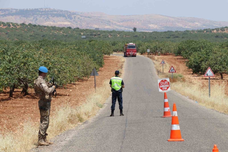 Gaziantep’te Jandarma Ekipleri ’yeşil Altın’ İçin Nöbette