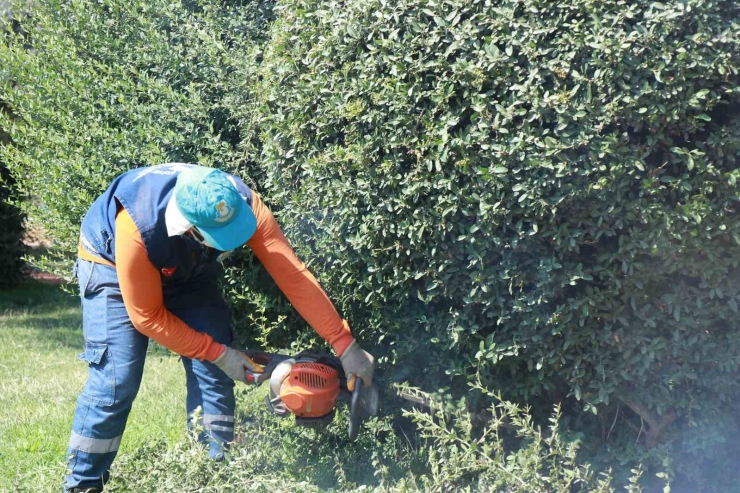 Parklarda Yenileme Ve Güzelleştirme Çalışması