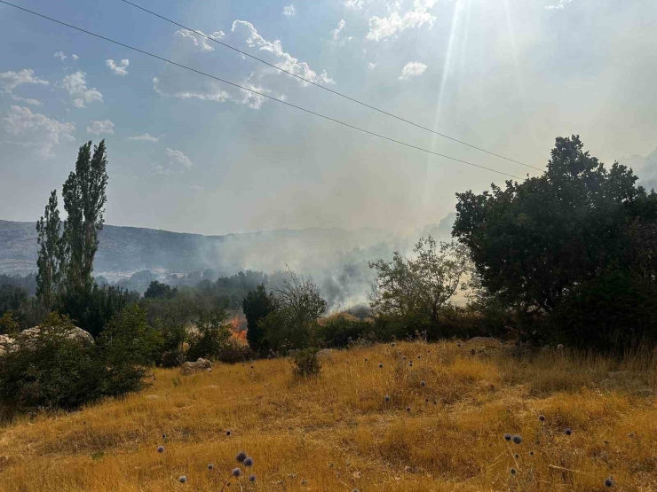 Diyarbakır’da Ziraat Arazisinde Başlayıp Ormanlık Alana Sıçrayan Yangın 10 Saat Sonra Söndürüldü