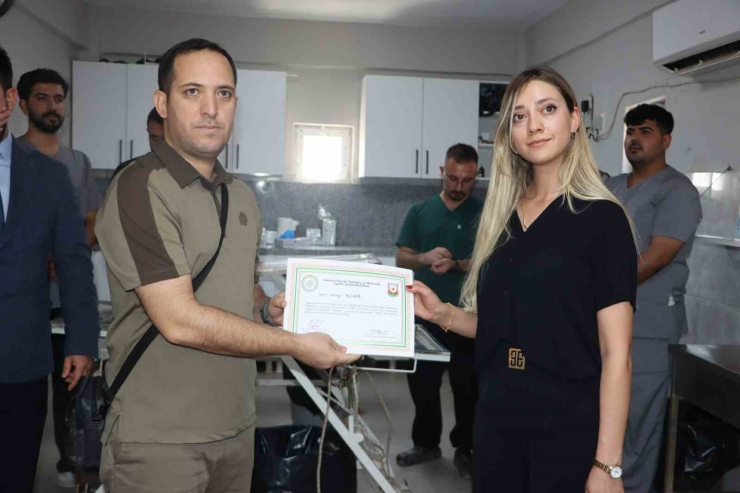 Şanlıurfa’da Sokak Hayvanları İçin Doğal Yaşam Alanı Ve Kısırlaştırma Seferberliği Başlıyor