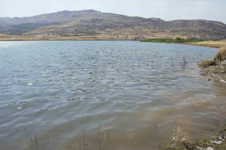 Dicle’de Vatandaştan Kıyı Düzenlemesi, Temizlik Ve Mesire Alanı Talebi