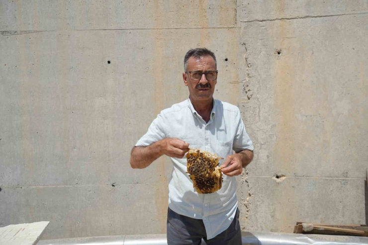 Arı Kovanı Havası Soluyarak Şifa Arıyorlar