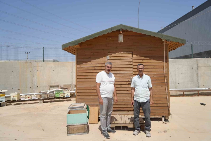 Arı Kovanı Havası Soluyarak Şifa Arıyorlar