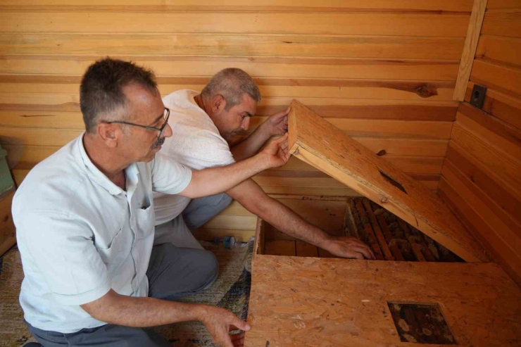 Arı Kovanı Havası Soluyarak Şifa Arıyorlar