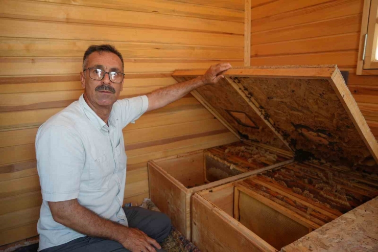 Arı Kovanı Havası Soluyarak Şifa Arıyorlar