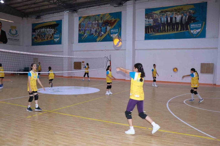 Haliliye Belediyesi Voleybolun Yıldızlarını Keşfediyor