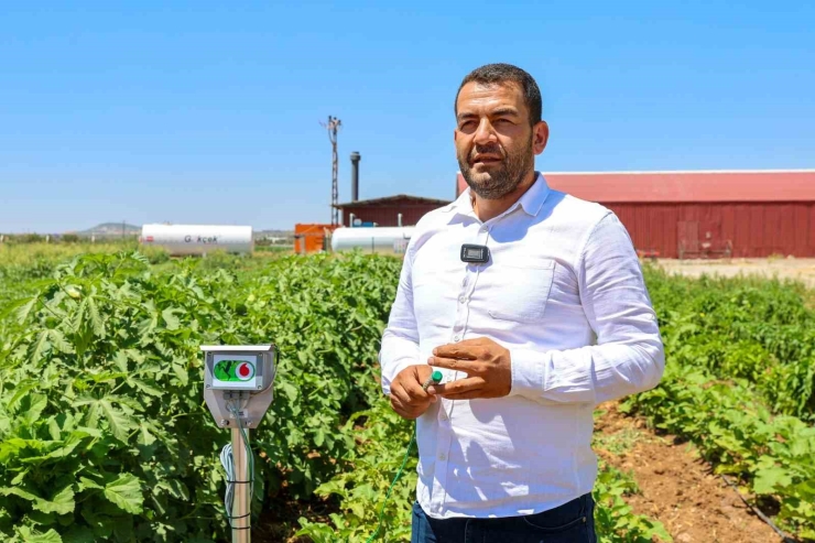 Gaziantep Büyükşehir, Ata Tohumlarına Sahip Çıkıyor