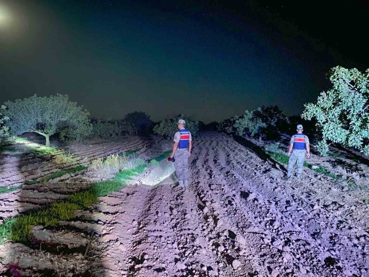 Jandarmanın Fıstık Nöbeti Başladı