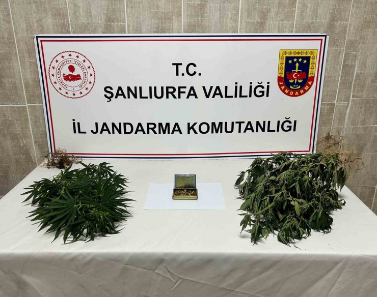 Şanlıurfa’da Uyuşturucu Operasyonu: 6 Gözaltı