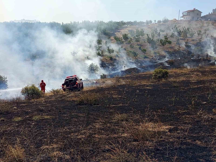 Hekimhan’da Ormanlık Alanda Çıkan Yangın Söndürüldü