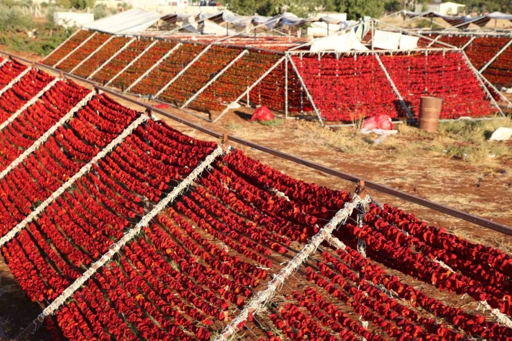Gaziantep 108 Tescilli Lezzetiyle Coğrafi İşarette Lider