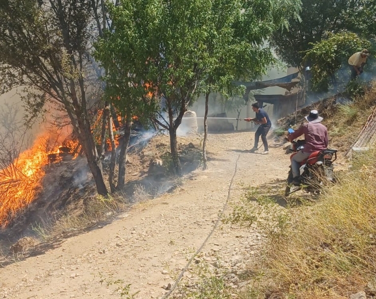 Malatya’nın Doğanyol İlçesinde Orman Yangını