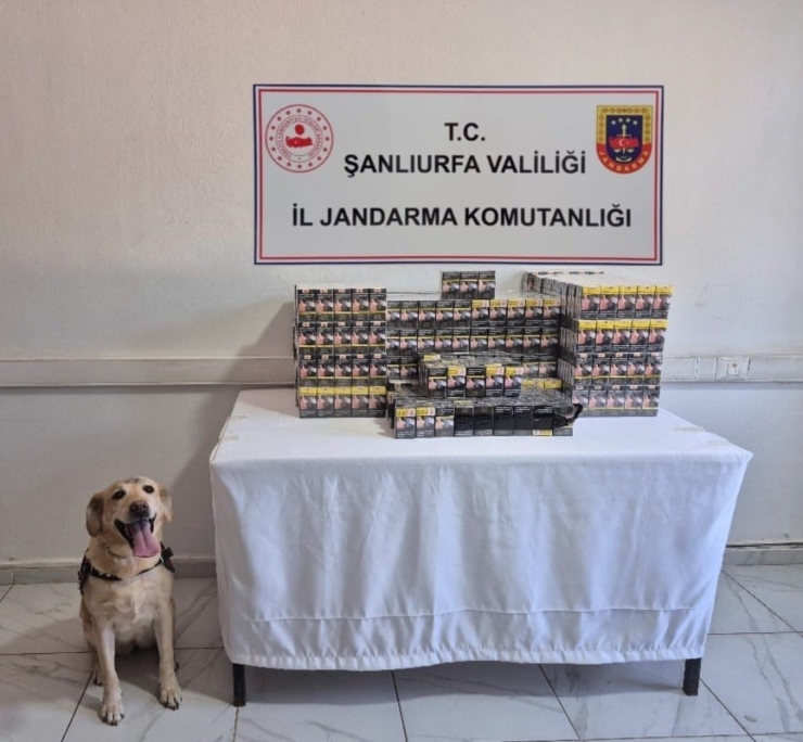 Şanlıurfa’da Gümrük Kaçağı Malzemeler Ele Geçirildi