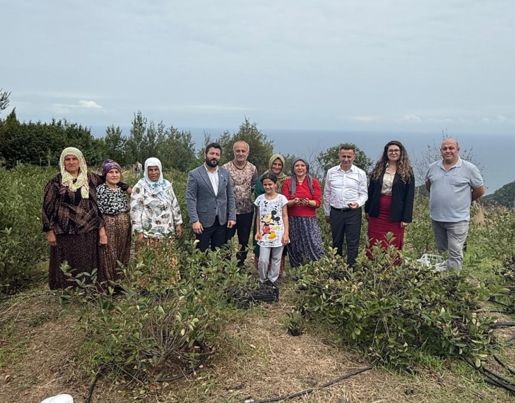 Aronya Akçaabat’tan Dünyaya Açılıyor