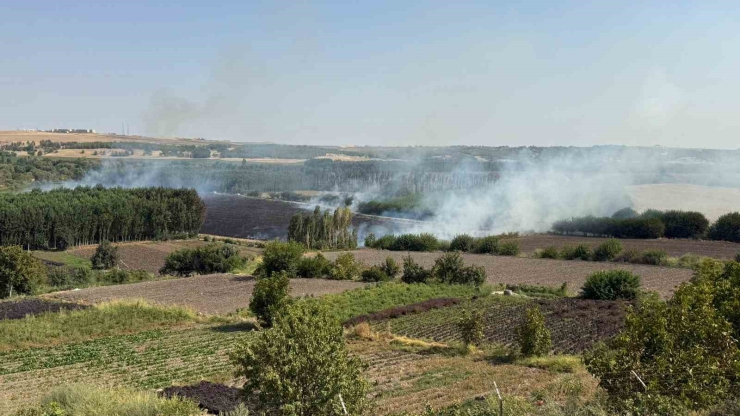 Diyarbakır’da Hevsel Bahçelerindeki Mısır Tarlasında Anız Yangını
