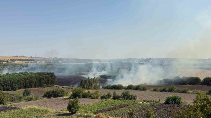 Diyarbakır’da Hevsel Bahçelerindeki Mısır Tarlasında Anız Yangını