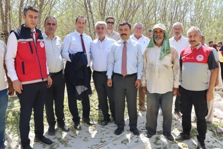 Adıyaman’da Badem Hasadı Düzenlendi