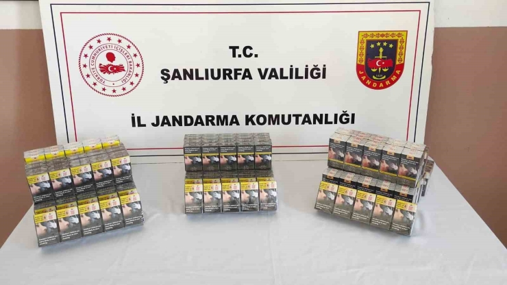Şanlıurfa’da 7 Bin 777 Paket Gümrük Kaçağı Sigara Ele Geçirildi
