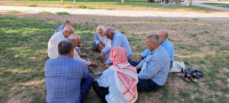 Şanlıurfa’da Binlerce Yıllık Zeka Oyunu