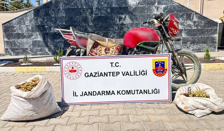 Gaziantep’te Hırsızlık Şüphelisi 24 Şahıs Yakalandı