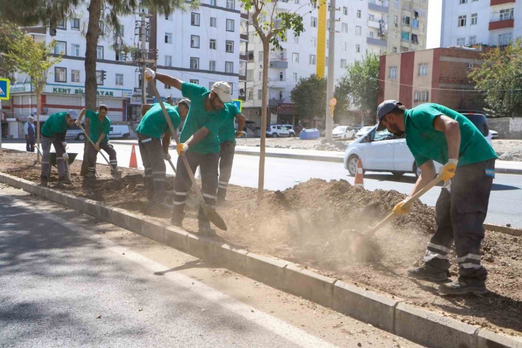 Diyarbakır’da Cadde Ve Bulvarları Yenileniyor