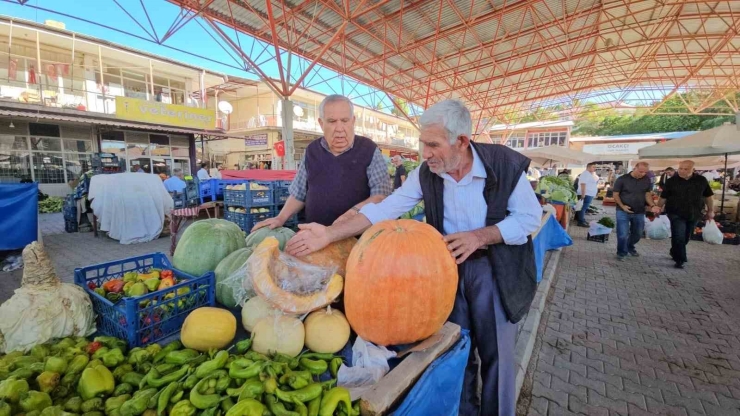 Darende’nin Meşhur Bal Kabağı Üreticinin Yüzünü Güldürüyor