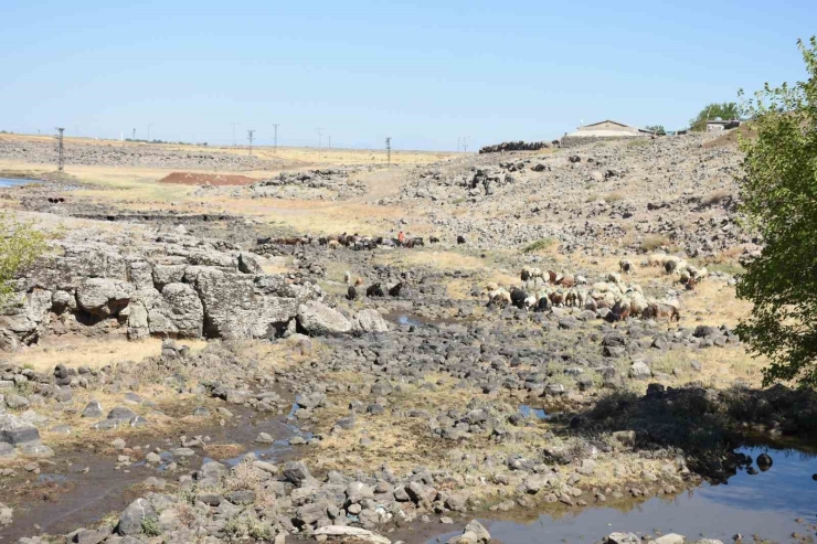 Diyarbakır’da 6 Bin Hayvanın Faydalanacağı Su Kaynağı Göletler Onarıldı