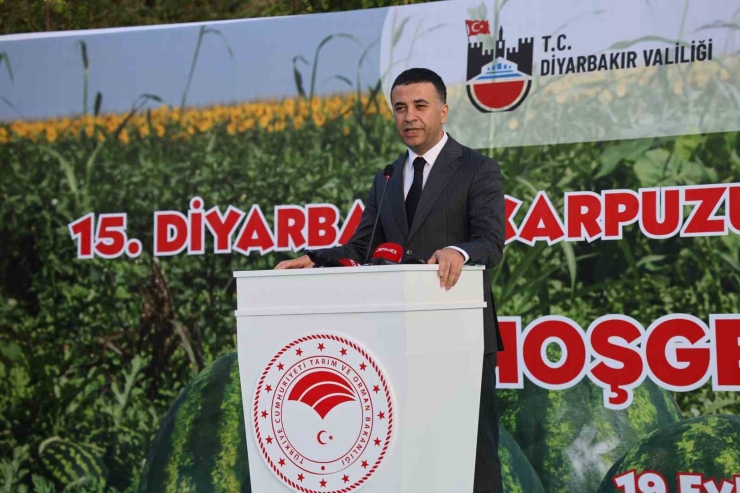 Diyarbakır’ın En Büyük Karpuzları Seçildi