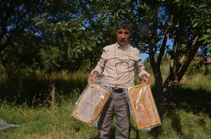 Malatya’da Bal Hasadı Başladı