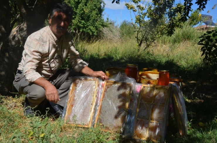 Malatya’da Bal Hasadı Başladı
