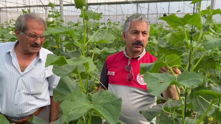 Adıyaman’da Sera-ges Projesiyle Tarımsal Üretim Hız Kazanıyor