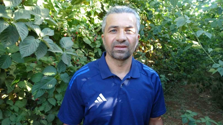 Malatya’da Bitkisel Üretim Çeşitliliğinde Üzümsü Meyvelerin Üretimi Yaygınlaşıyor