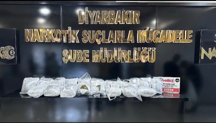 Diyarbakır’da Piyasa Değeri 1 Milyar Lira Olan 12 Bin 865 Kök Kenevir Ele Geçirildi