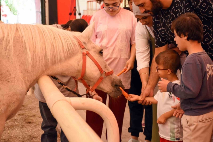 Engellilere Atla Terapi Desteği