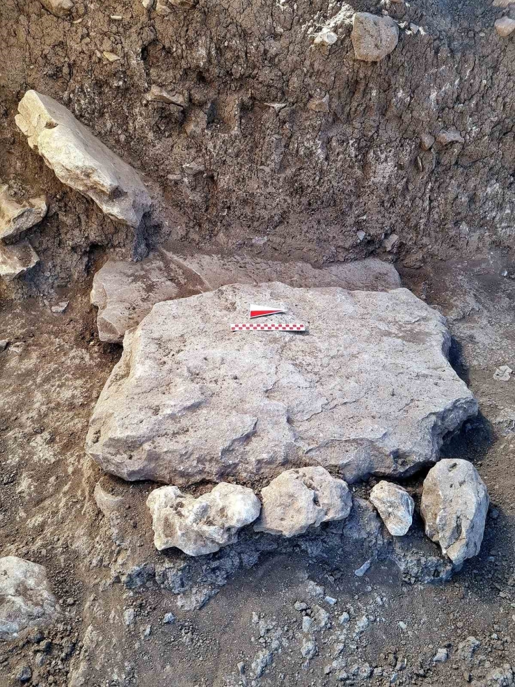 Çayönü Tepesi’nde 8 Mezar Gün Yüzüne Çıkarıldı