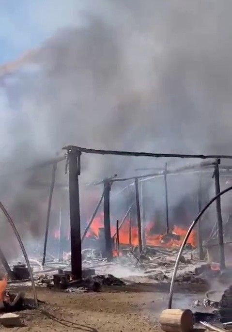 Yangında 13 Küçükbaş Hayvan Telef Oldu