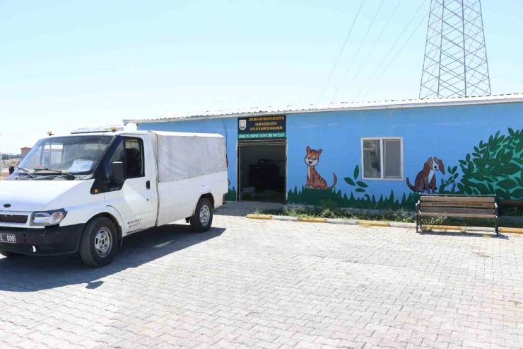 Şanlıurfa’da Organik Atıklar Dönüştürülerek Barınaklara Veriliyor